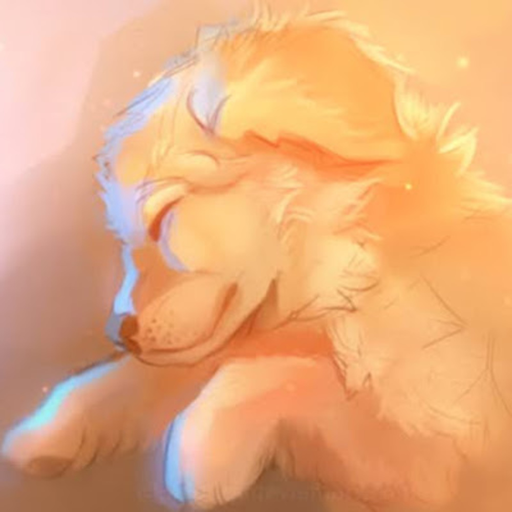 Meet your Posher, Opal